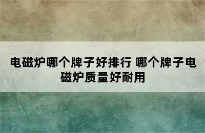 电磁炉哪个牌子好排行 哪个牌子电磁炉质量好耐用